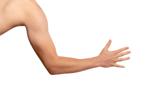 Male arm of caucasian young man muscles close-up. Male hands extended forward to shake hand, palm view, png, isolated on transparent background. fist expressing strength and power