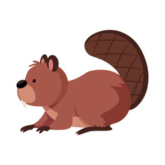 Cute beaver vector flat illustration, cartoon brown semiaquatic rodent animal with large flat tail side view, wild fauna