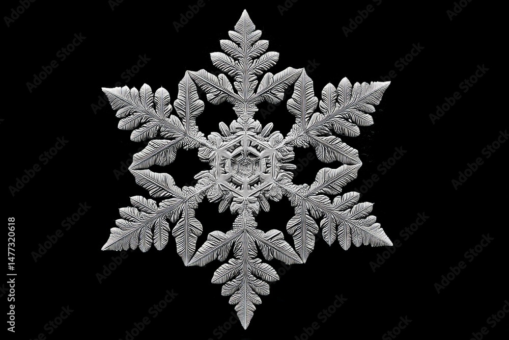 Aufkleber Intricate snowflake with detailed patterns captured on a black background showcasing natural symmetry and beauty