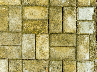 Close up of old textured paving stone blocks with moss