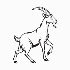 Fototapeta premium saanen goat vector art illustration