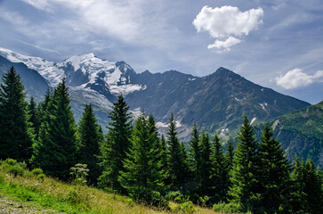Scenic Alpine Mountain Landscape with Evergreen Trees, Blue Sky, Clouds on Sunny Summer Day
