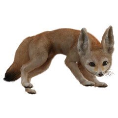3D rendered fantasy desert fox isolated on transparent background