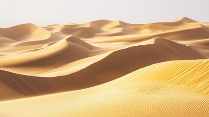 The flowing curves of sand dunes, their smooth surfaces shaped by time, creating a serene and endless desert expanse