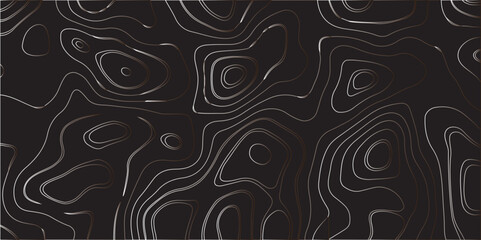 "Create a dark-themed abstract background featuring topographic contour lines. The lines should flow smoothly with organic curves, forming layered patterns over a deep black or charcoal surface. The d