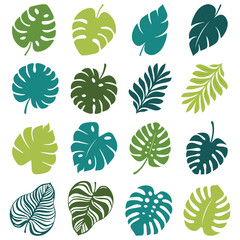 Simple summer tropical monstera leaves. Botanical elements. Floral set. Minimalist silhouette. Logo design element. Collection of tropical leaves in various shapes. Monstera, palm. Exotic jungle palm 