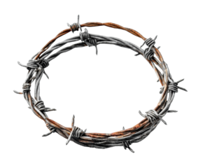 Symbol of suffering and sacrifice represented by barbed wire crown on a transparent background, cut out