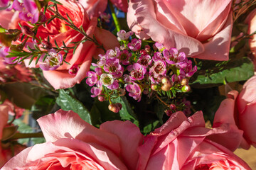 Romantic Pink Rose Bouquet with Purple Waxflower Accent