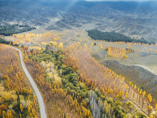 autumn landscape in the mountains