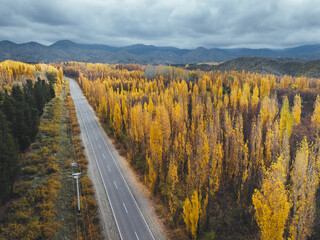 autumn landscape with road