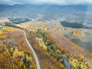 autumn landscape with mountains and road