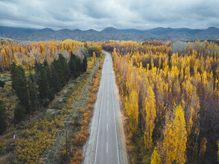 autumn landscape with road