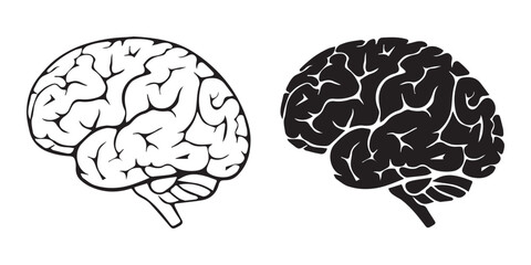 Human Brain Icon Collection. Human head organ anatomy. Brain Systems.