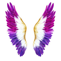Obraz premium Vibrant purple and white angel wings with golden accents create striking and ethereal appearance. feathers are intricately detailed, showcasing blend of colors