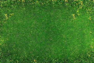 Lush green grass field with scattered yellow flowers.  Dense, textured, and vibrant.  Natural background