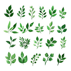 Collection of various green leaf illustrations, each with unique shapes and sizes, arranged in rows on transparent background. leaves are vibrant and detailed, showcasing different shades of green