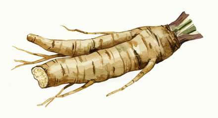Watercolor Illustration Of Fresh Angelica Root Showcases Earthy Tones And Textured Details Revealing Its Potential Use In Natural Remedies And Culinary Creations On A Clean White Canvas