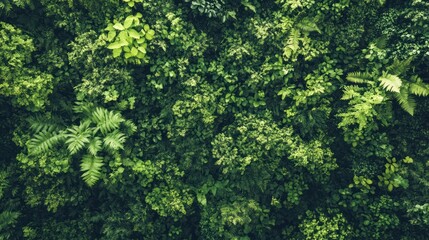 Lush green foliage wall, densely packed with varied plant life.
