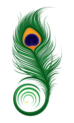 Artistically drawn, stylized, vector peacock feather 