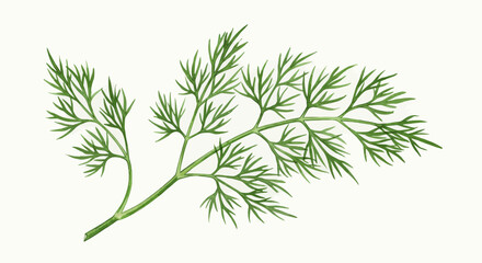 Fototapeta premium A Delicate Sprig Of Fresh Green Dill Is Depicted In A Detailed Watercolor Illustration Showcasing The Plants Feathery Leaves And Elegant Structure Against A Plain White Background