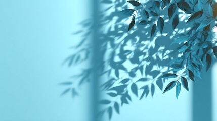 Naklejka premium Minimalistic simple background with blurred foliage shadow on light blue wall, beautiful background for presentation