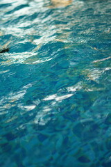 The clear and blue swimming pool water with checkered ceramics of the swimming pool