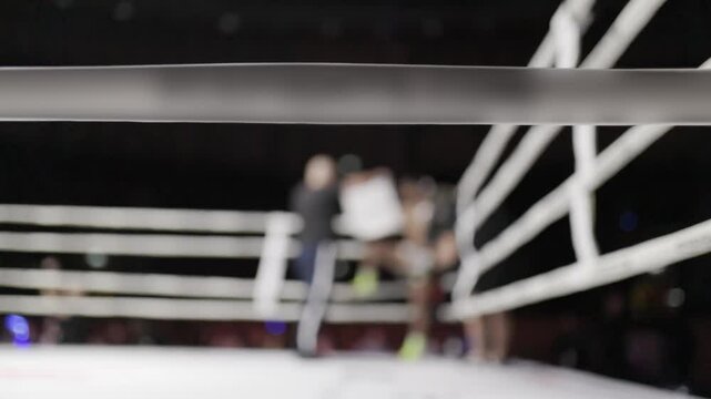 Blurred boxing match with referee raising winner's arm