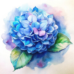 Watercolor painting of a blue hydrangea flower with leaves floral art design, illustration