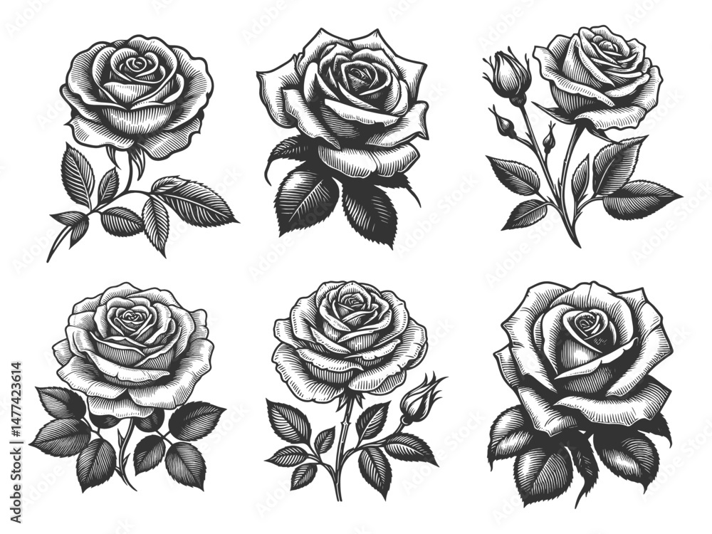 Poster rose flower set collection bundle sketch engraving generative ai vector illustration. scratch board 