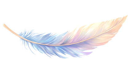 Delicate Feather Watercolor Clipart Isolated on White Background