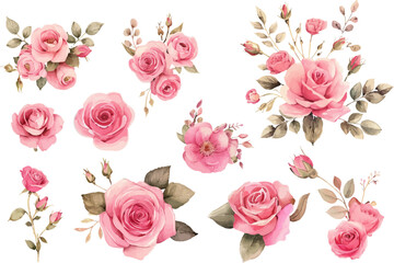 Naklejka premium set of roses vector illustration