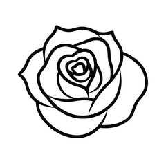 rose vector illustration