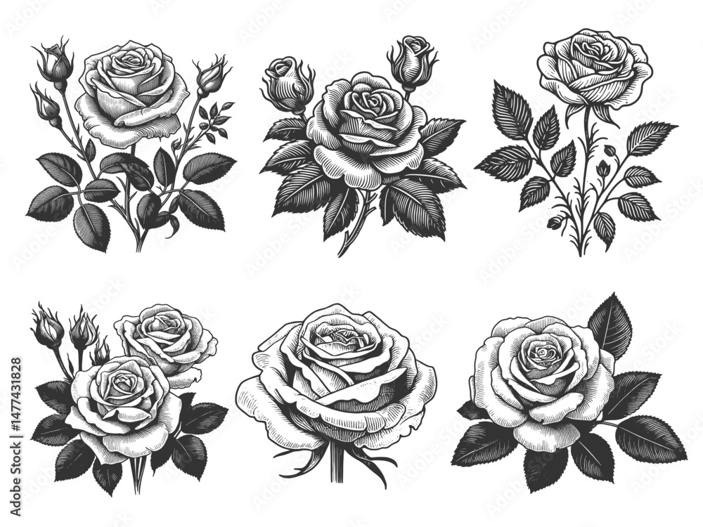 Poster rose flower set collection bundle sketch engraving generative ai vector illustration. scratch board 