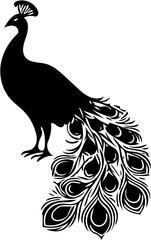 vector illustration of a peacock silhouette with its beautiful tail