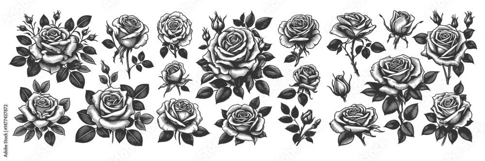 Poster rose flower set collection bundle sketch engraving generative ai vector illustration. scratch board 