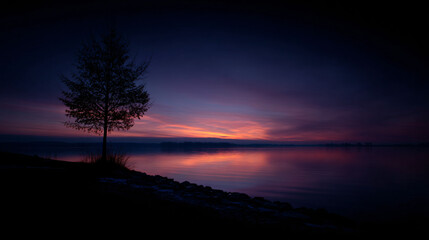 Silhouette tree diagram at sunset over a tranquil lakeshore.