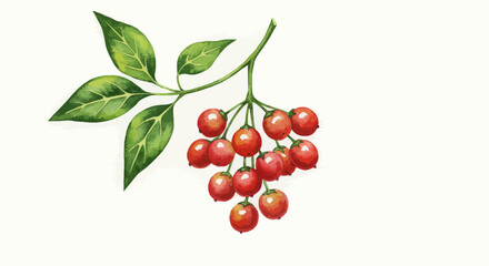 Delicate Watercolor Illustration Of A Japanese Sansho Pepper Branch Showcasing Its Vibrant Green Leaves And Cluster Of Bright Red Berries Evoking A Sense Of Natural Beauty And Culinary