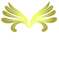 Symmetrical stylized wings in golden tones against a deep black backdrop
