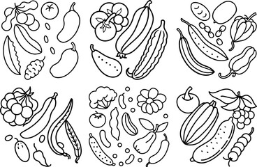 Set of vegetable outline vector illustration, line art