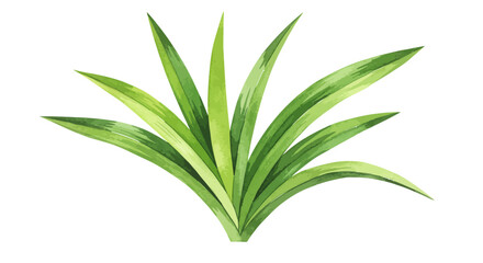 Watercolor Illustration Of Pandan Leaves Showcases The Plants Vibrant Green Hues Graceful Form And Textural Details Against A White Background Evoking A Sense Of Freshness And Natural