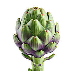 Obraz premium Artichoke: A Detailed Close-Up View of its Unique Structure, Showing its Intricate Layers with a Transparent Background Explore the Botanical Wonder
