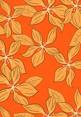 Pattern Spirng Summer for fashion