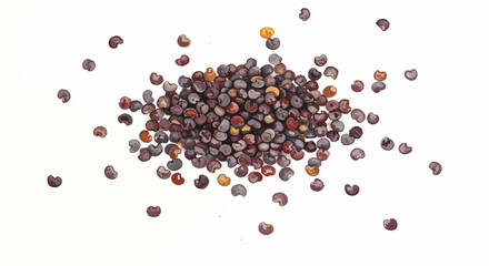 Vibrant Watercolor Illustration Of A Ras El Hanout Spice Mix Featuring Diverse Textures And Colors Creating A Warm And Inviting Culinary Atmosphere With Its Unique Aromatic Composition