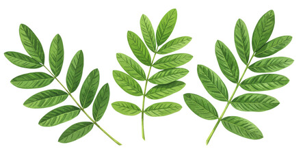 Fototapeta premium Watercolor Painting Capturing The Subtle Color Variations And Textures Of A Cluster Of Shallots Creating A Visually Appealing And Organic Composition With Delicate Details And Soft Shadows