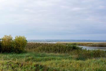 Obraz premium early autumn dawn over the marshy banks of a wild river. Overgrown with reeds, it will rain, cloudy dark sky