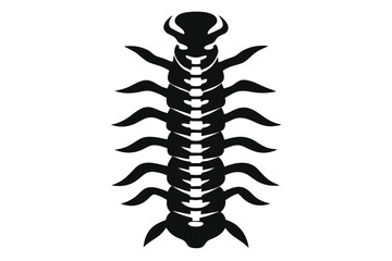 insect illustration depicts a segmented black millipede arthropod, displaying distinctive body structure