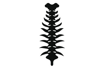 Isolated black spinal column shows human anatomy in detailed structure for medical science illustration