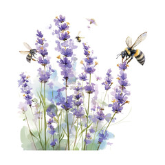 Lavender flowers attract bees during sunny afternoon in a serene garden setting