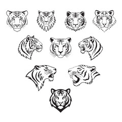 Tiger Head Illustrations A Collection of Vector Designs