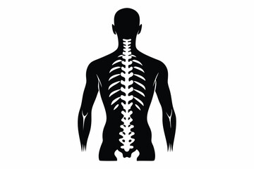 Back silhouette reveals human spine, ribs, and bone structure in stark monochromatic detail